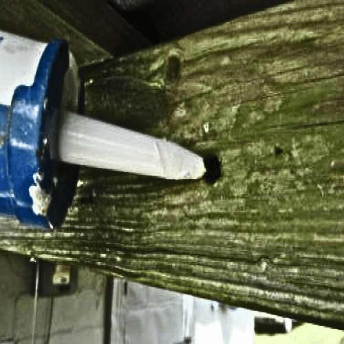 Caulking Carpenter Bee Holes